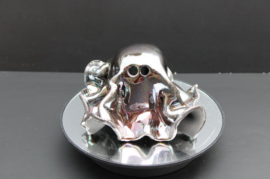 Mr. Mirror Ghost